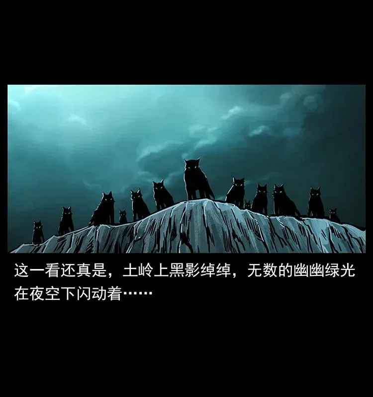 220 漠北白狼王 第79页