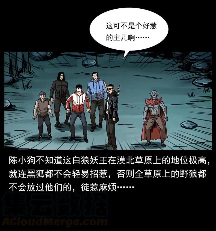 220 漠北白狼王 第81页