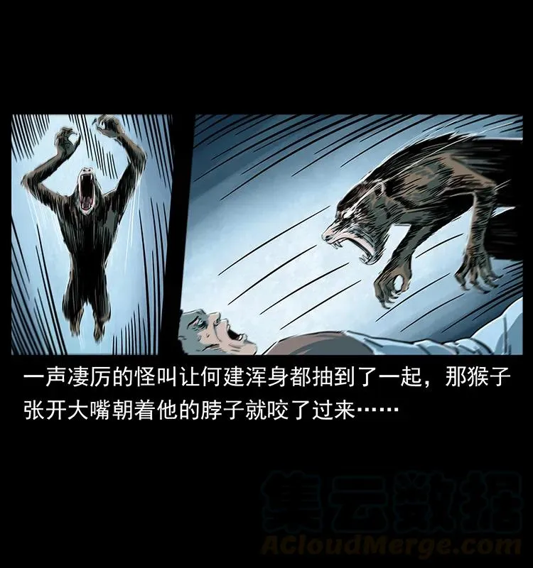228 凶兽 第33页