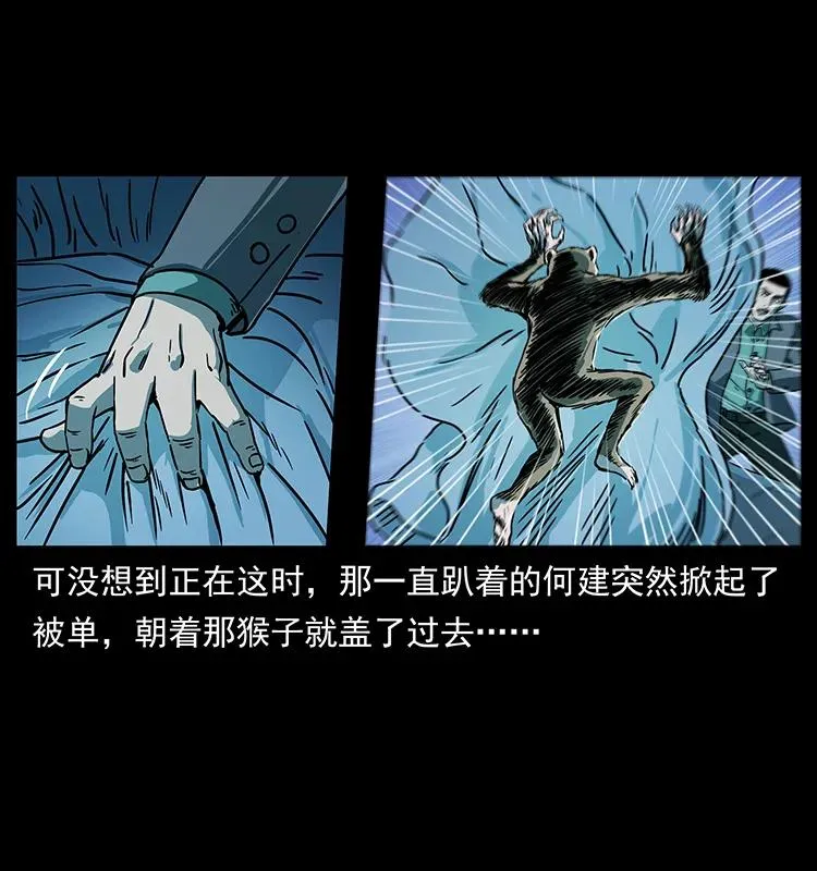 228 凶兽 第67页