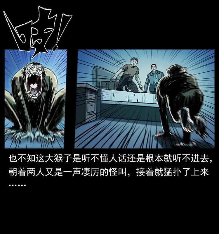 228 凶兽 第72页