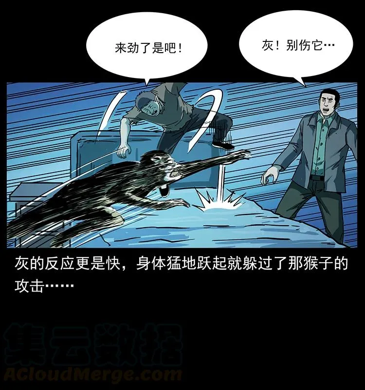 228 凶兽 第73页