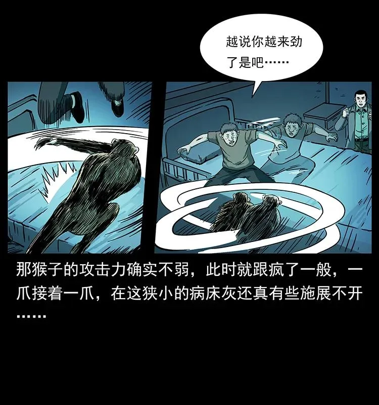 228 凶兽 第74页