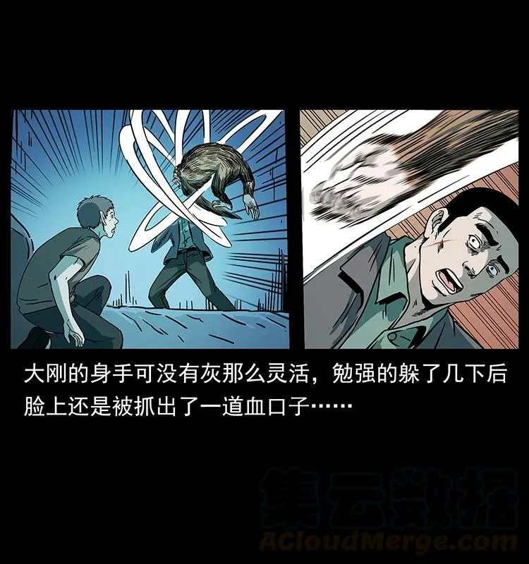 228 凶兽 第77页