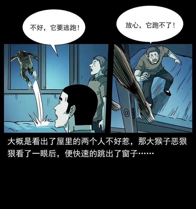 228 凶兽 第80页