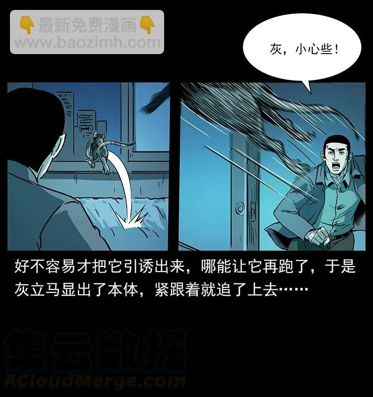 228 凶兽 第81页