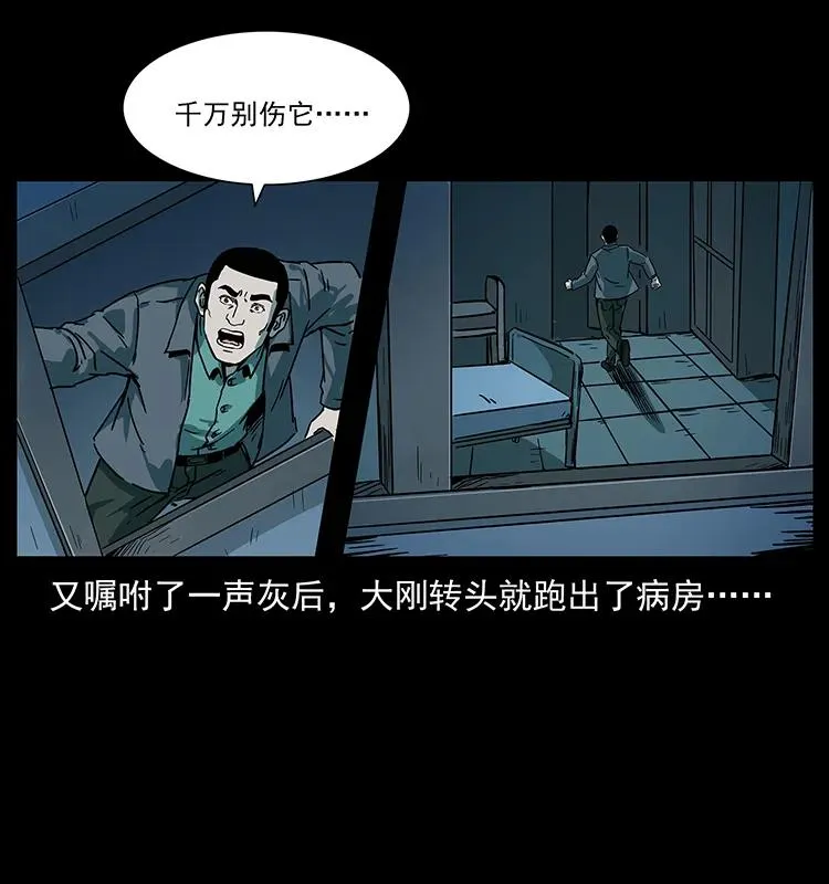 228 凶兽 第84页