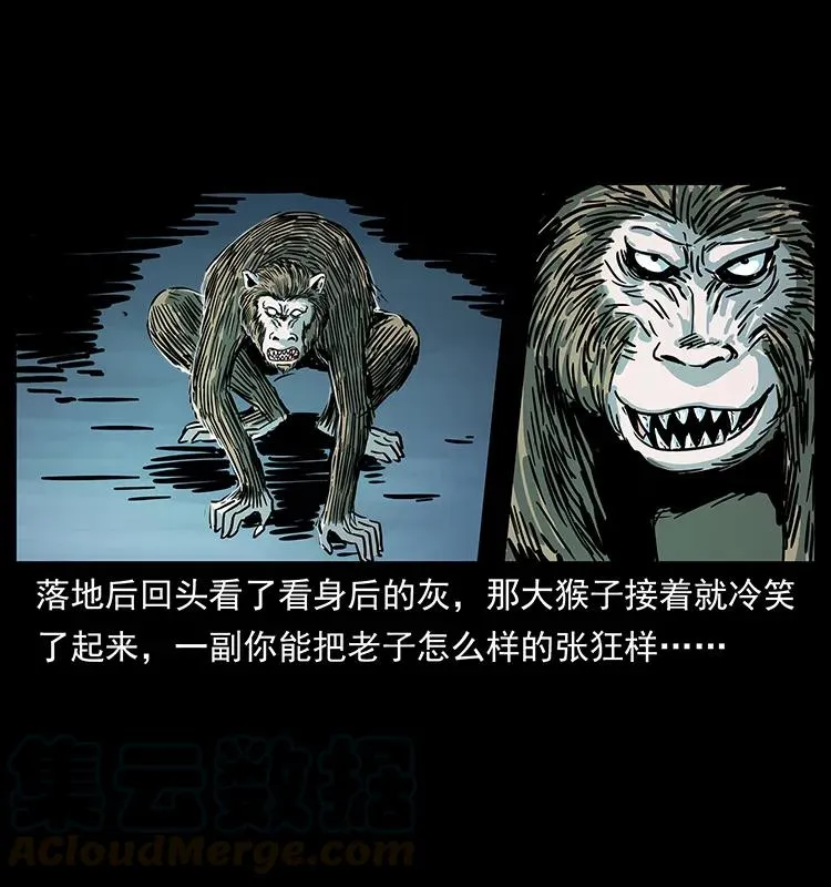 228 凶兽 第89页