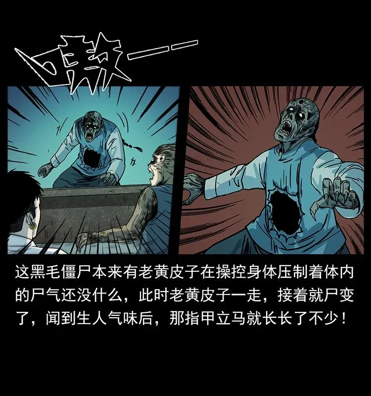 227 猴脑 第3页