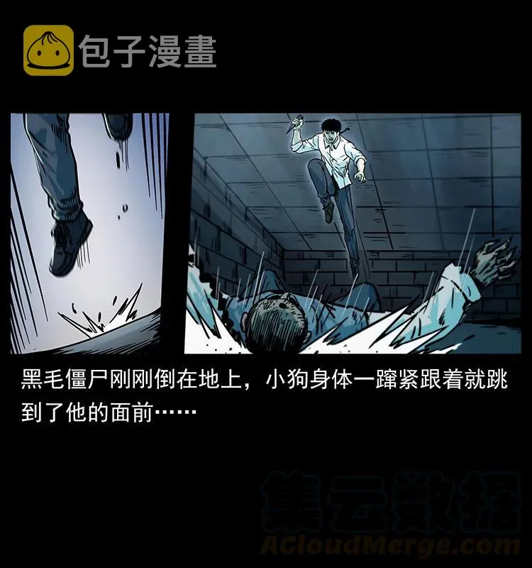 227 猴脑 第17页