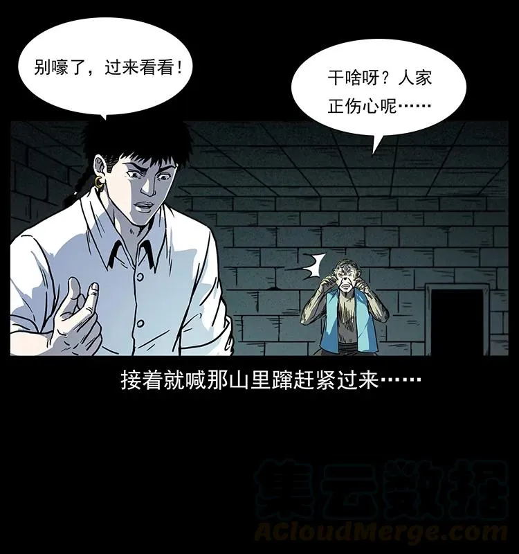 227 猴脑 第29页