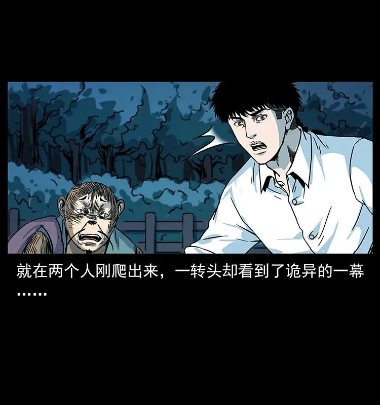 227 猴脑 第34页