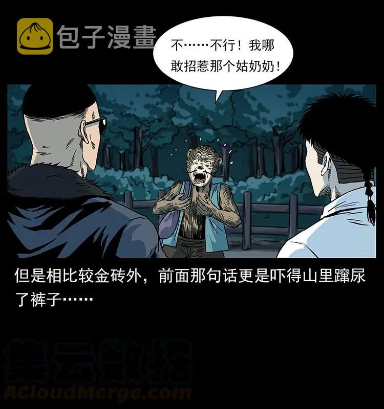 227 猴脑 第41页