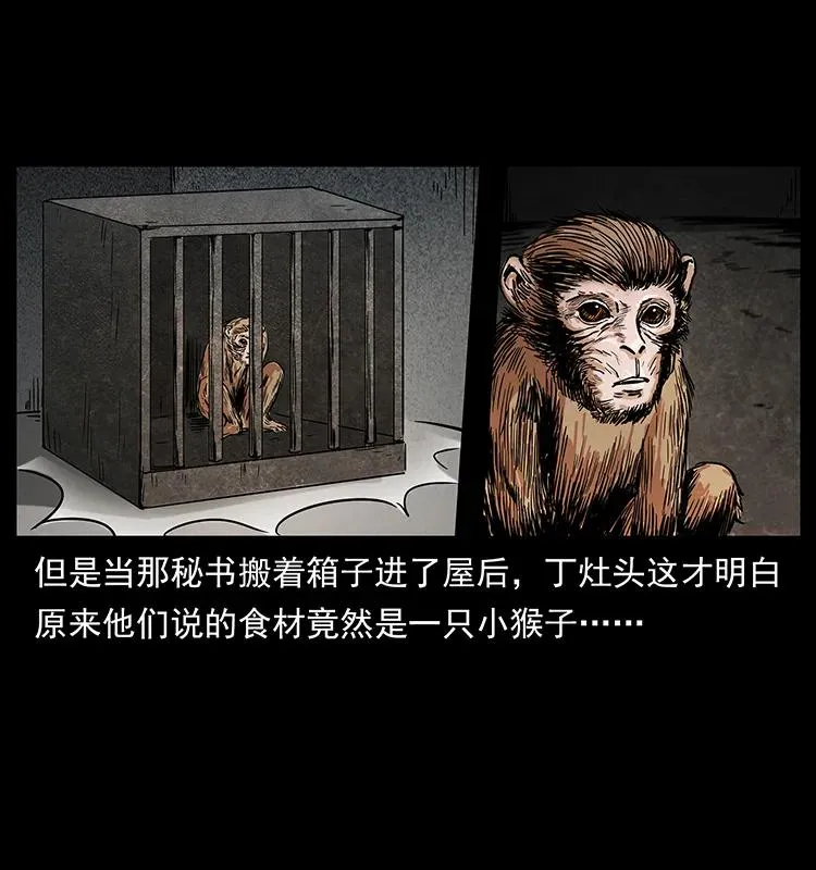 227 猴脑 第63页
