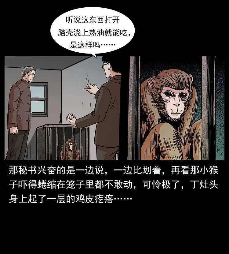 227 猴脑 第68页