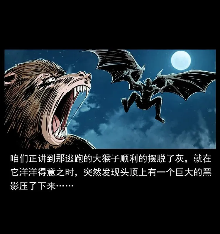 229 东海龙骨 第2页