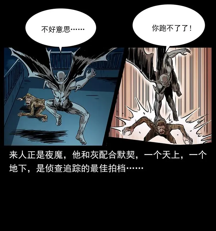 229 东海龙骨 第3页