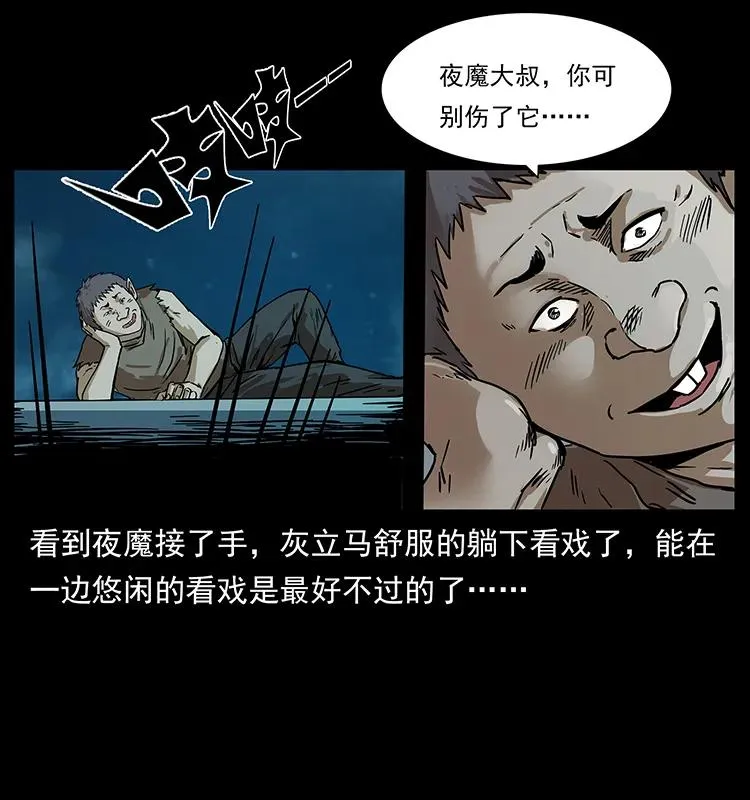 229 东海龙骨 第4页