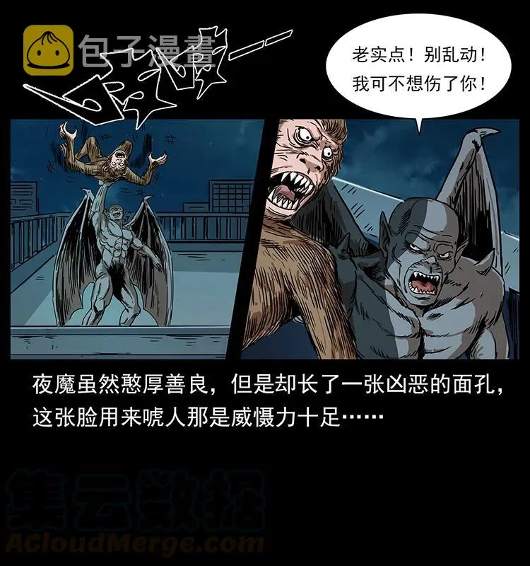 229 东海龙骨 第5页