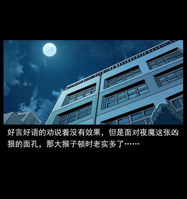 229 东海龙骨 第6页