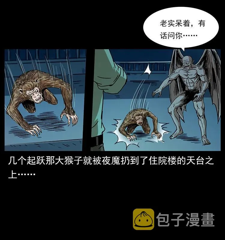 229 东海龙骨 第7页