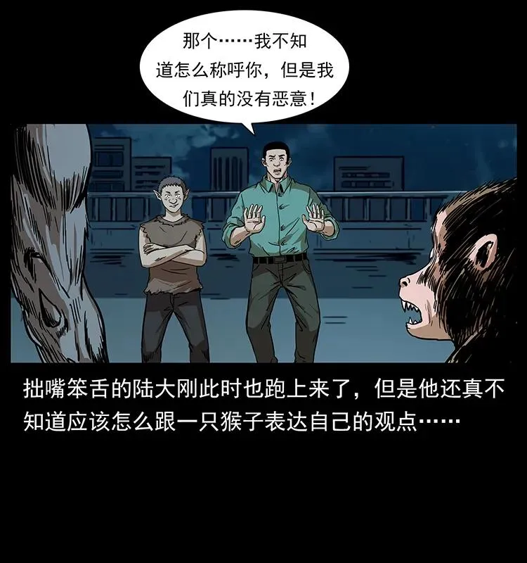 229 东海龙骨 第8页