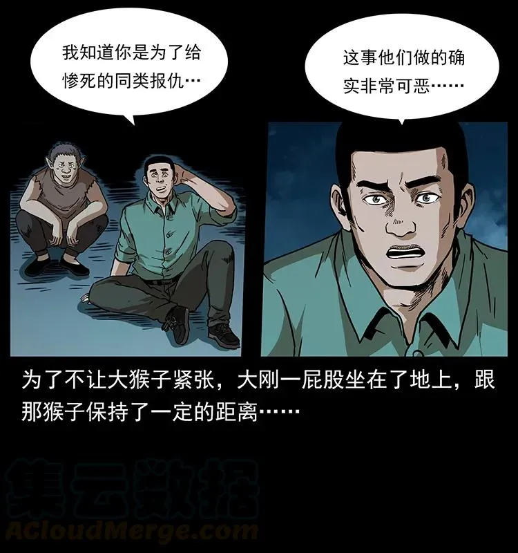 229 东海龙骨 第9页