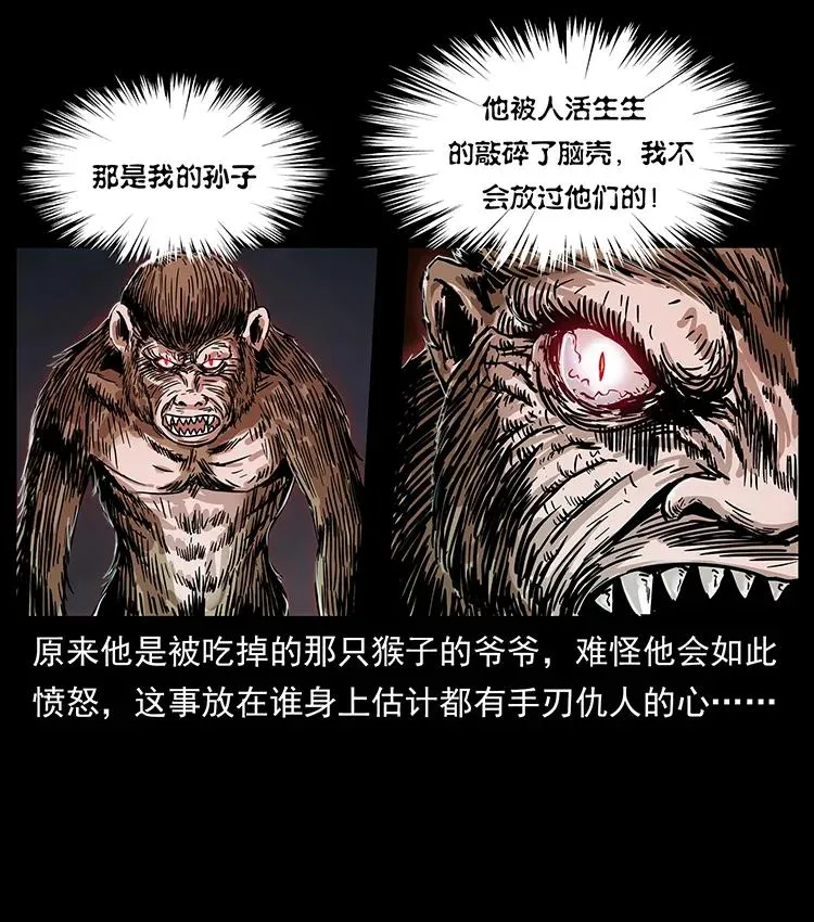 229 东海龙骨 第11页
