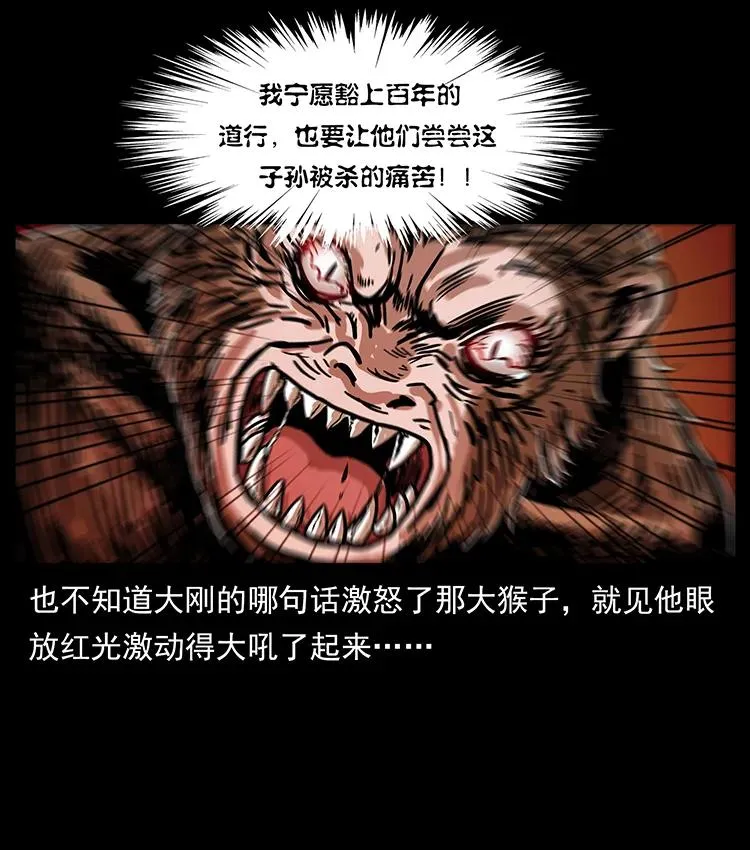 229 东海龙骨 第14页