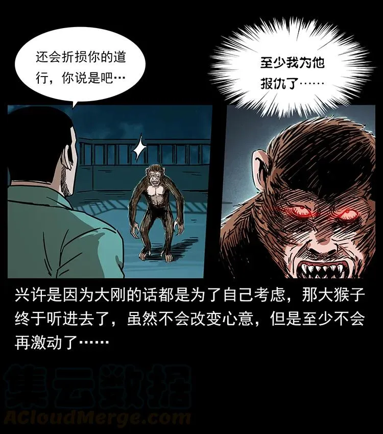 229 东海龙骨 第17页