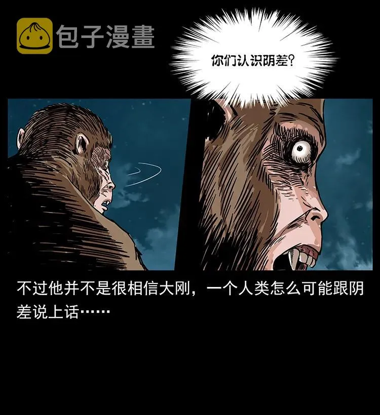 229 东海龙骨 第20页
