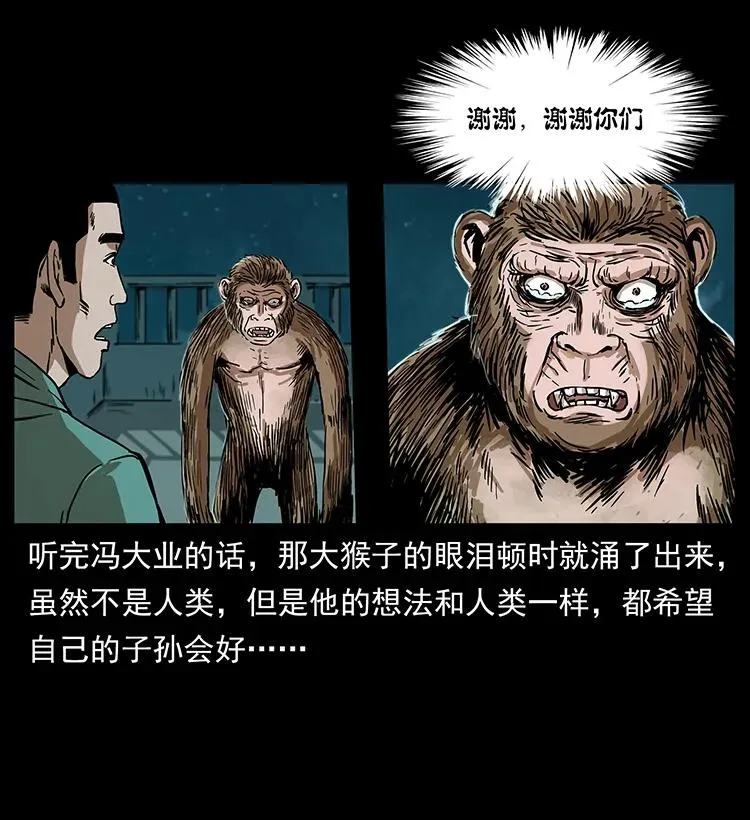 229 东海龙骨 第24页