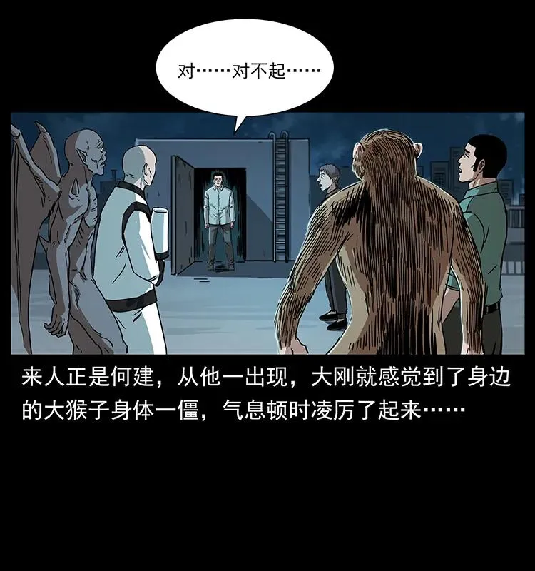 229 东海龙骨 第26页