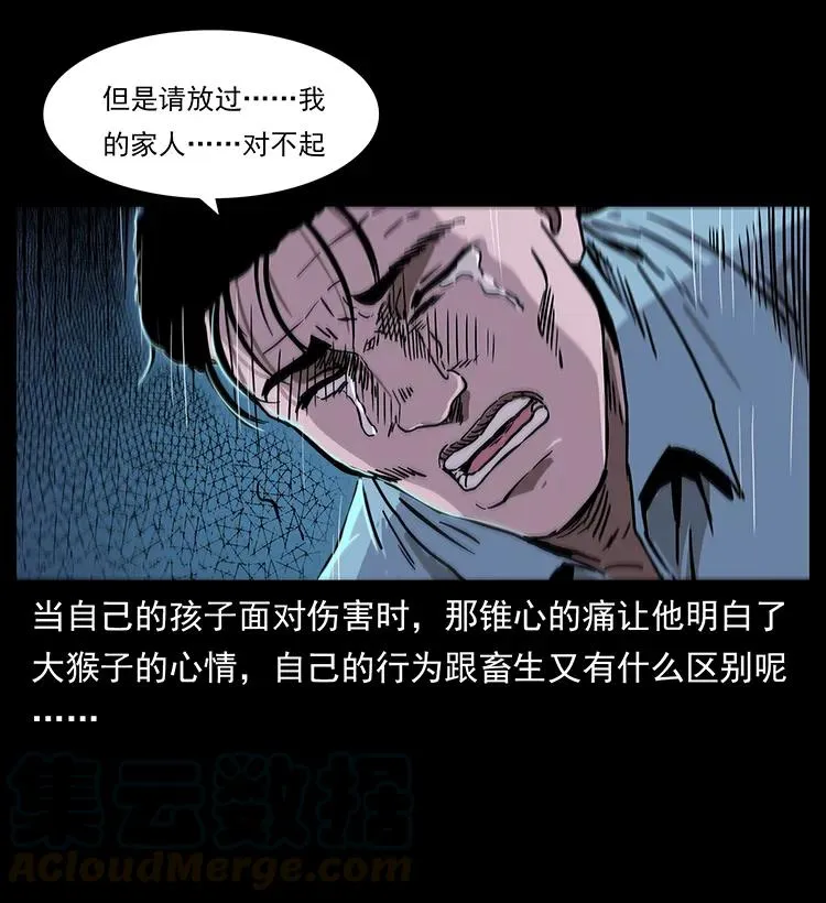 229 东海龙骨 第29页