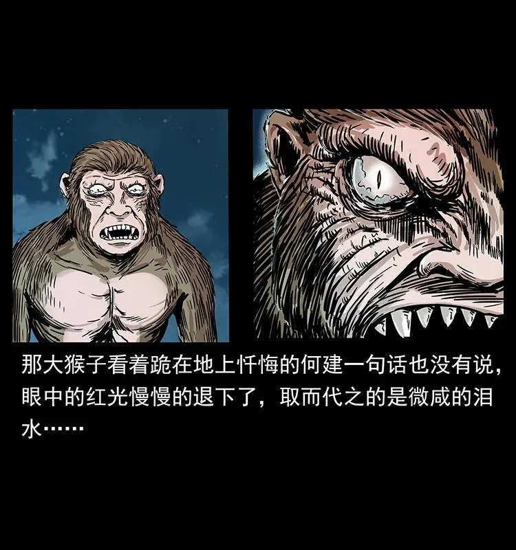 229 东海龙骨 第31页