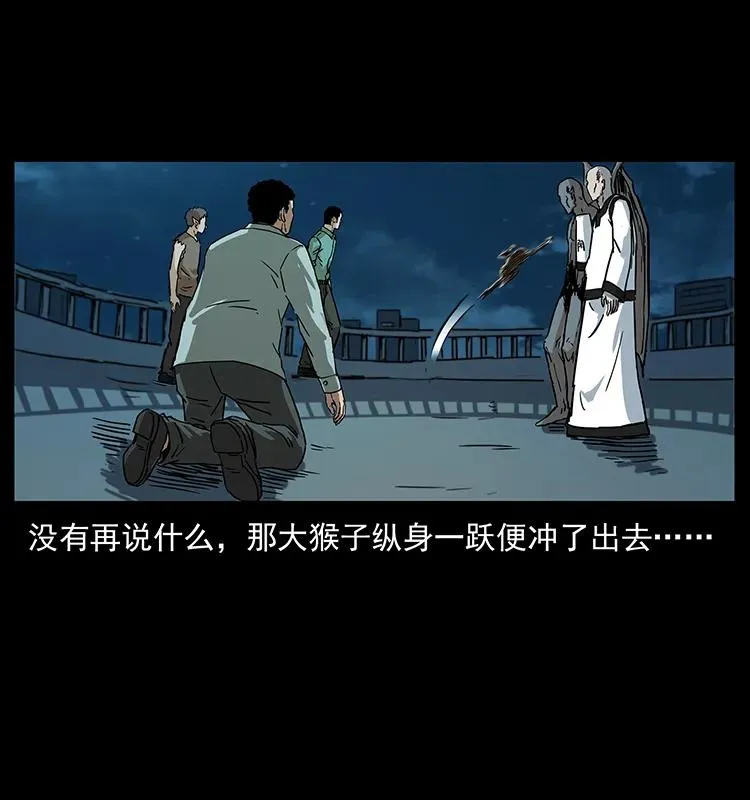 229 东海龙骨 第34页