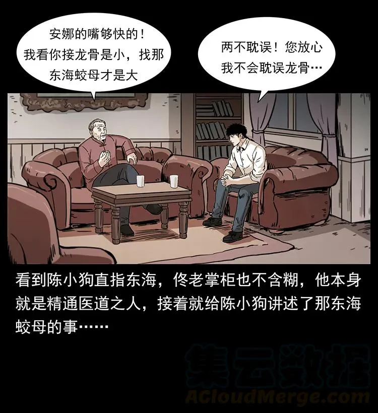 229 东海龙骨 第49页