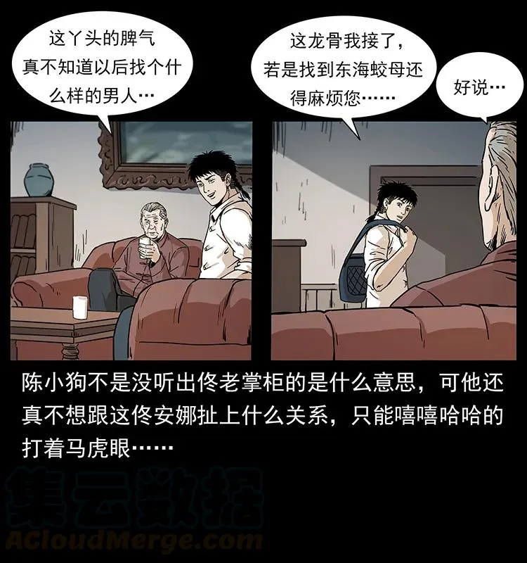 229 东海龙骨 第53页