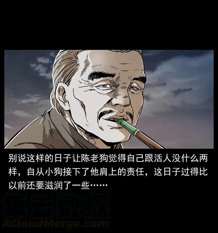 230 生桩 第5页