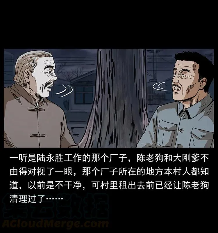 230 生桩 第13页