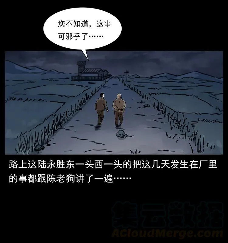 230 生桩 第17页