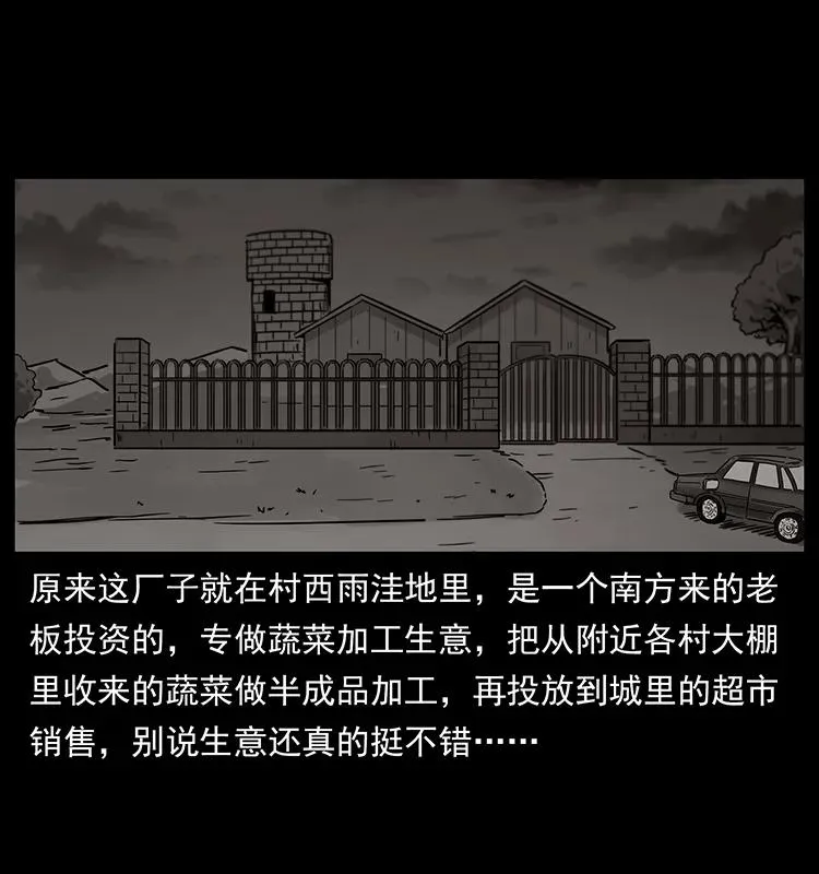 230 生桩 第18页