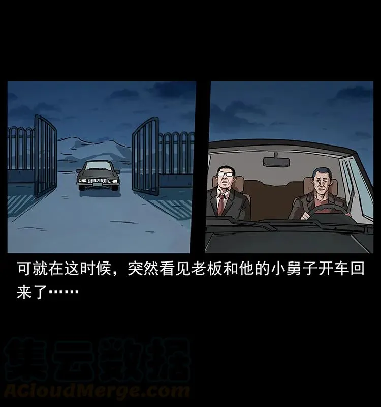 230 生桩 第21页