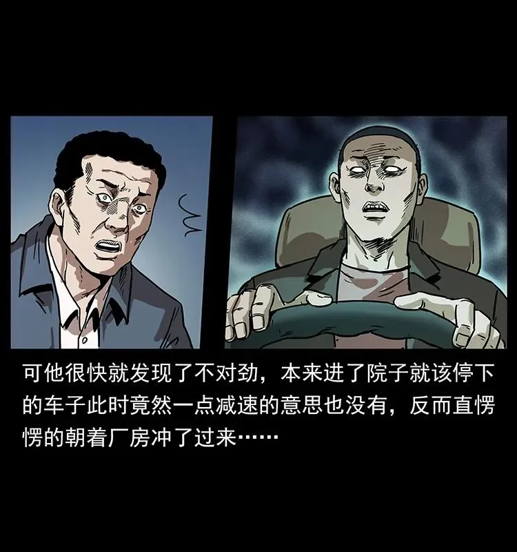 230 生桩 第24页