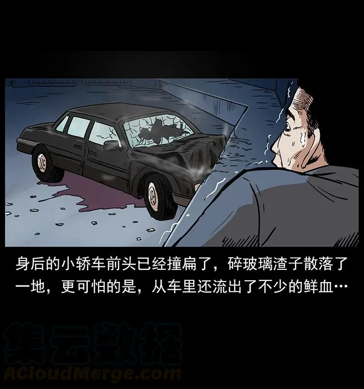 230 生桩 第29页
