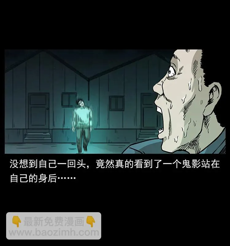 230 生桩 第46页