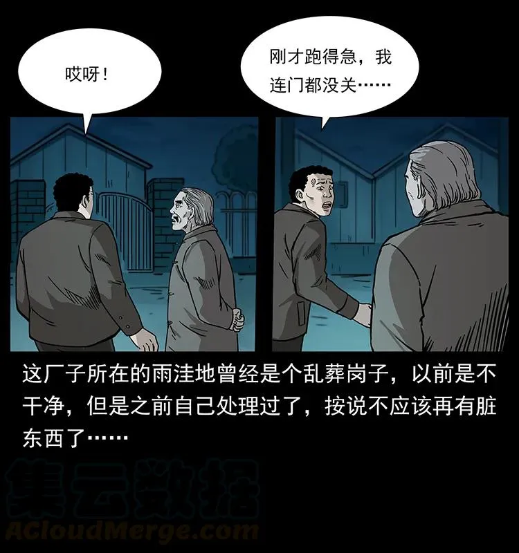 230 生桩 第49页