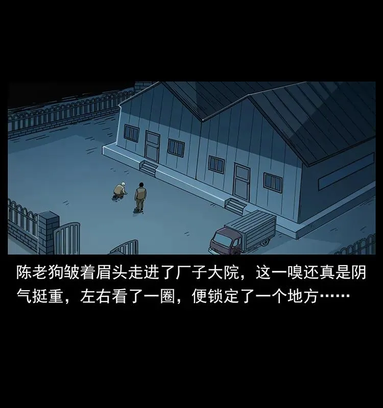 230 生桩 第50页