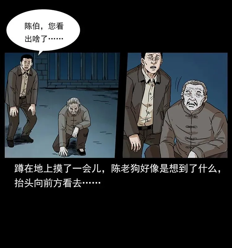 230 生桩 第51页