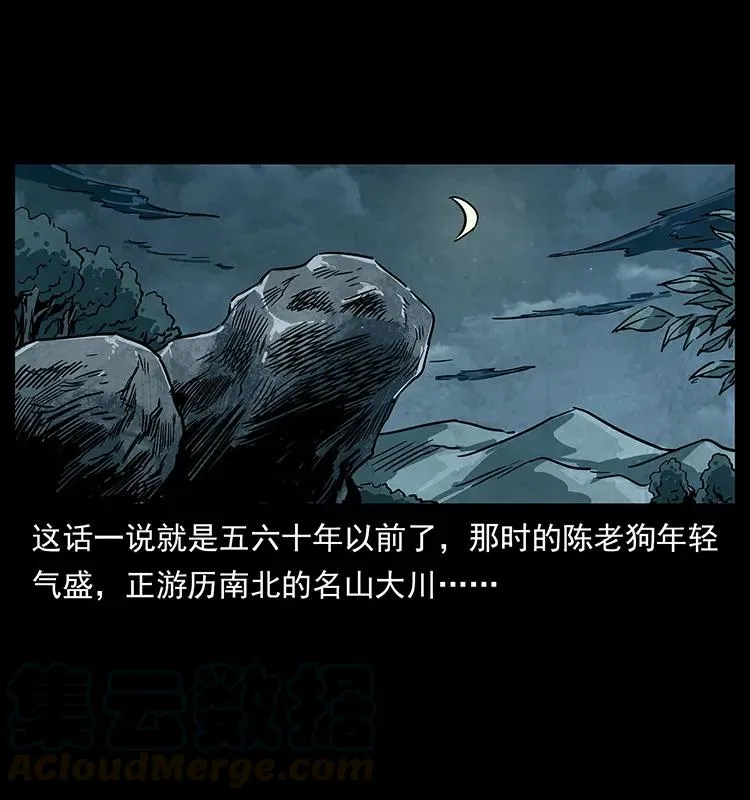 231 东海木龙 第13页